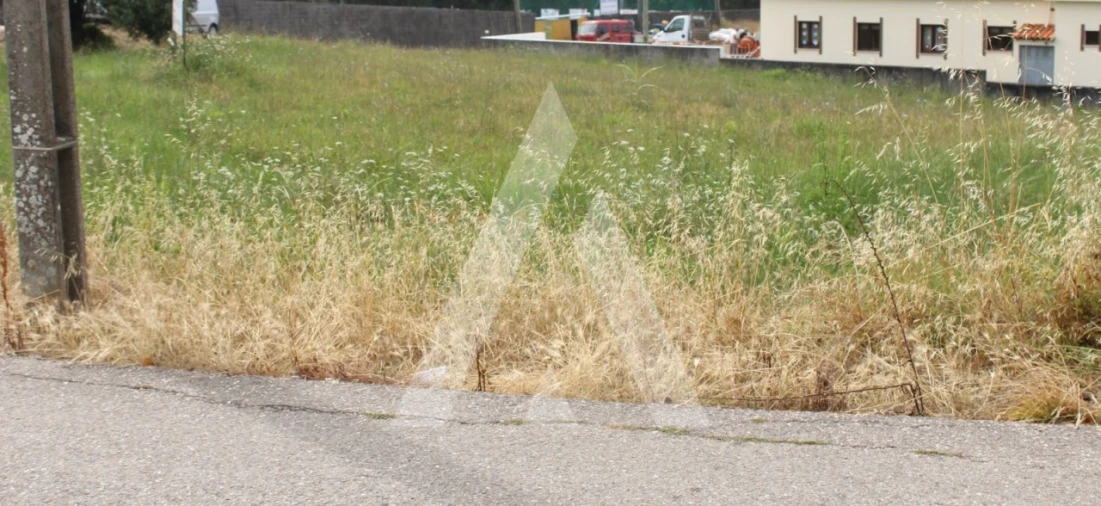 Terreno para Venda em São Lourenço do Bairro Foto 2