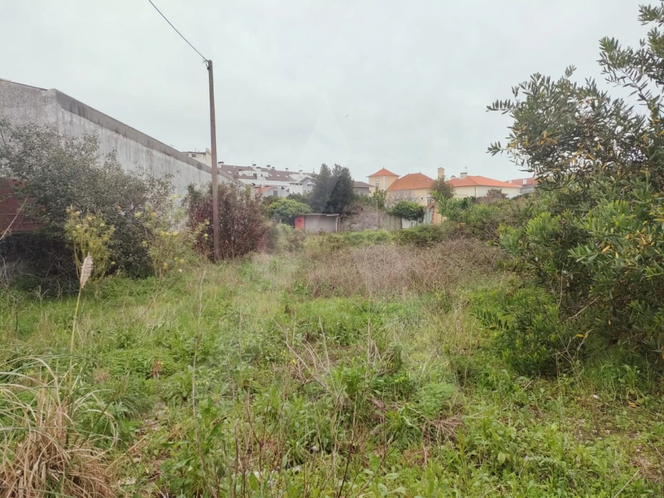 Terreno para Venda em Gafanha da Nazaré Foto 13