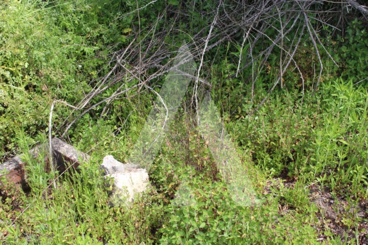 Terreno para Venda em Bustos, Troviscal e Mamarrosa Foto 2