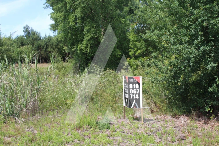 Terreno para Venda em Bustos, Troviscal e Mamarrosa Foto 8