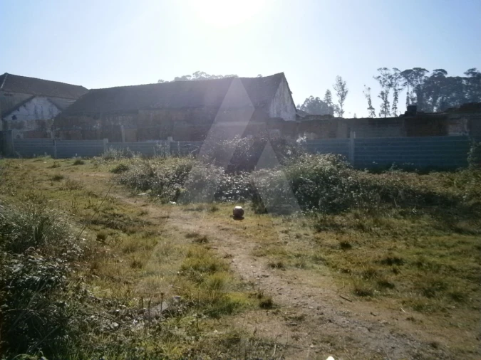 Terreno para Venda em Avanca Foto 3