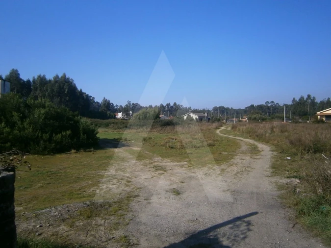 Terreno para Venda em Avanca Foto 1