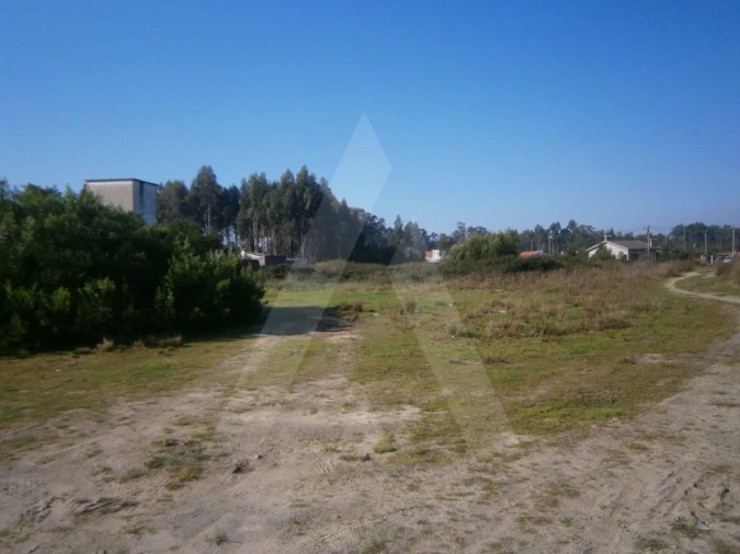 Terreno para Venda em Avanca Foto 2