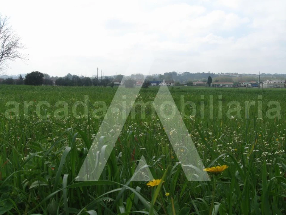 Terreno para Venda em Arcos e Mogofores Foto 1