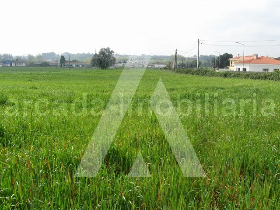 Terreno para Venda em Arcos e Mogofores Foto 4