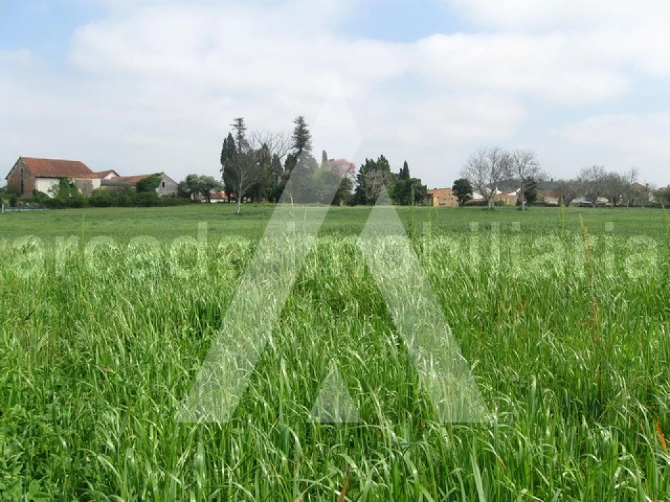 Terreno para Venda em Arcos e Mogofores Foto 8