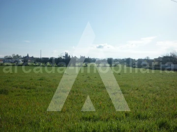 Terreno para Venda em Arcos e Mogofores