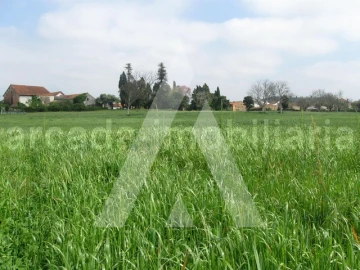 Terreno para Venda em Arcos e Mogofores
