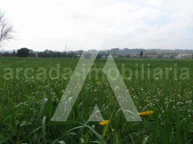 Terreno para Venda em Arcos e Mogofores