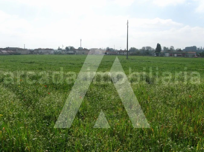 Terreno para Venda em Arcos e Mogofores Foto 6