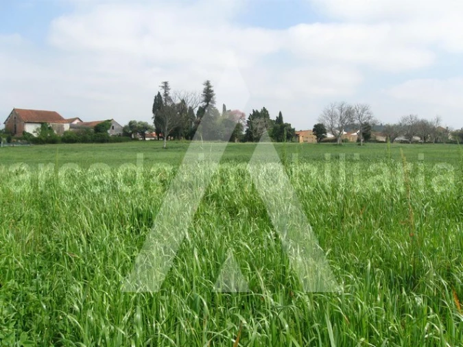 Terreno para Venda em Arcos e Mogofores Foto 8