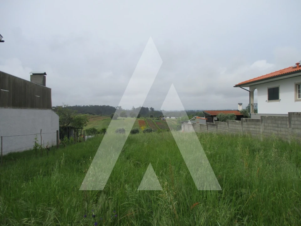 Terreno para Venda em Fermentelos Foto 1