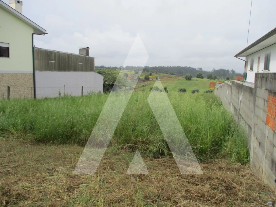 Terreno para Venda em Fermentelos Foto 2