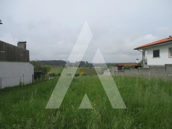 Terreno para Venda em Fermentelos Foto 1