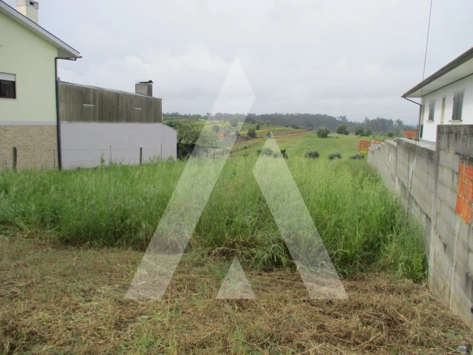 Terreno para Venda em Fermentelos Foto 2