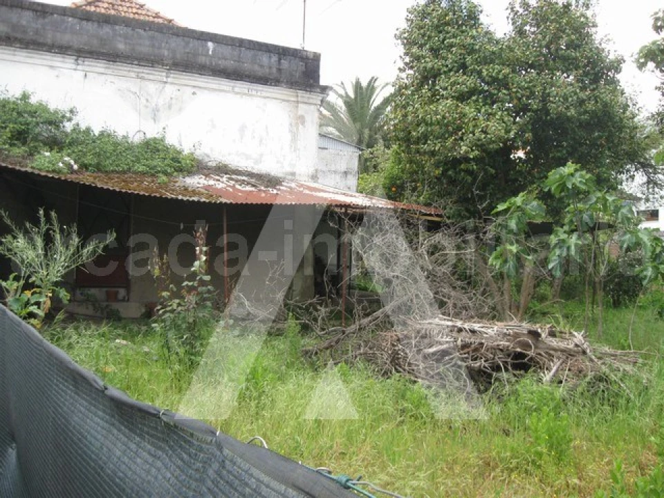 Terreno para Venda em Oliveira do Bairro Foto 3