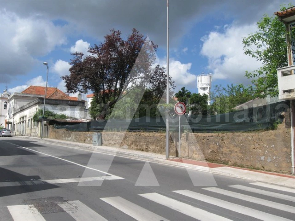 Terreno para Venda em Oliveira do Bairro Foto 4