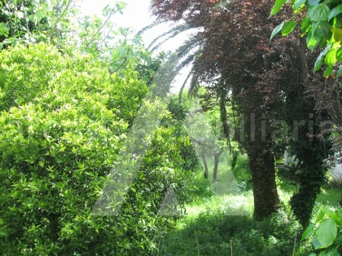Terreno para Venda em Oliveira do Bairro Foto 2