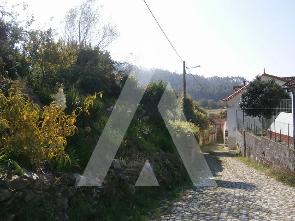 Terreno para Venda em Macinhata do Vouga Foto 2