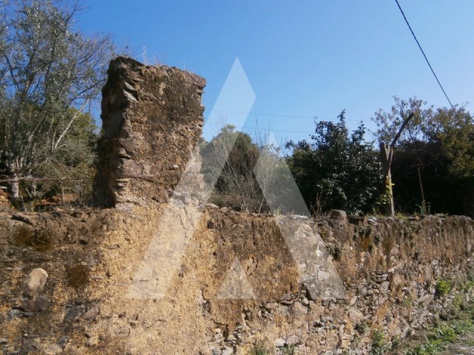 Terreno para Venda em Macinhata do Vouga Foto 5