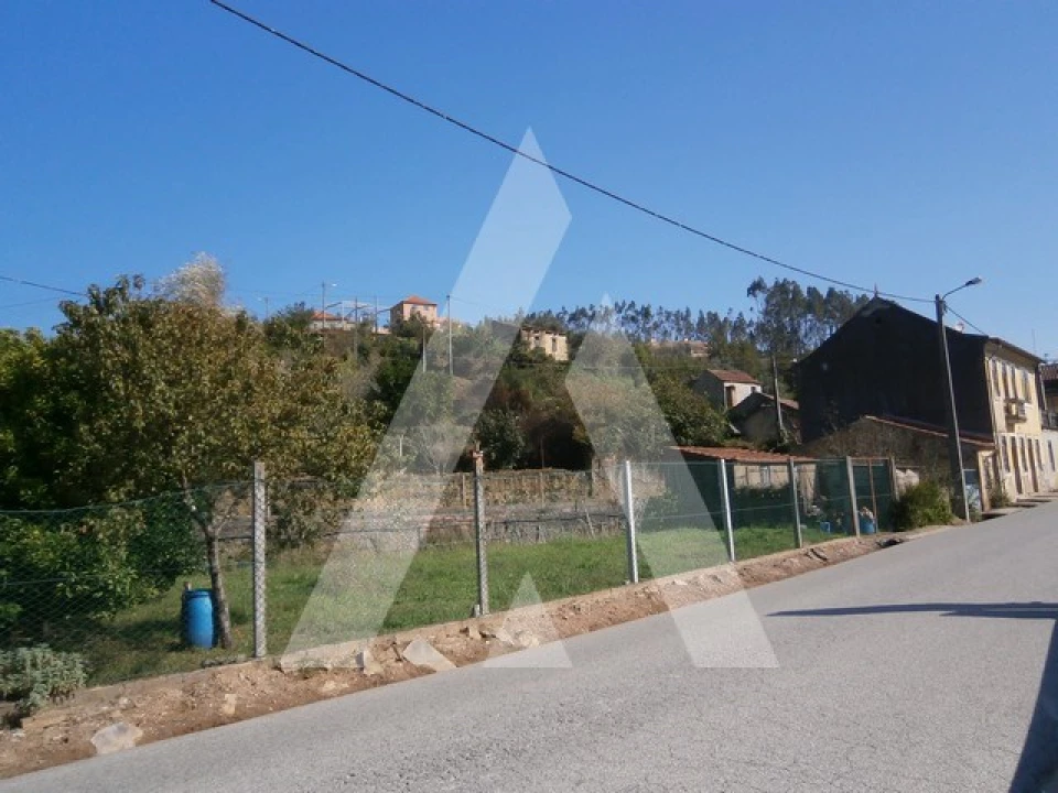 Terreno para Venda em Macinhata do Vouga Foto 7
