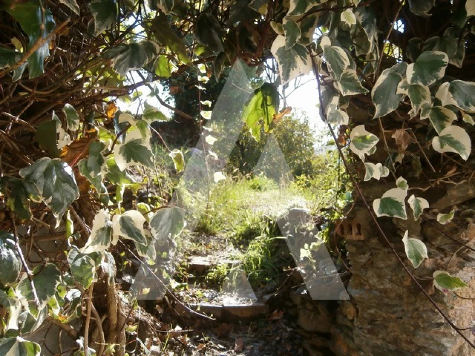 Terreno para Venda em Macinhata do Vouga Foto 8