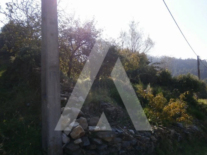 Terreno para Venda em Macinhata do Vouga Foto 1