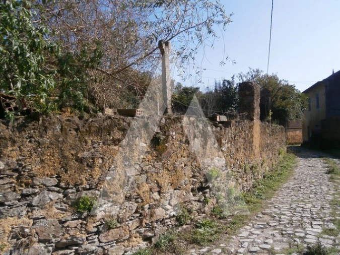 Terreno para Venda em Macinhata do Vouga Foto 4