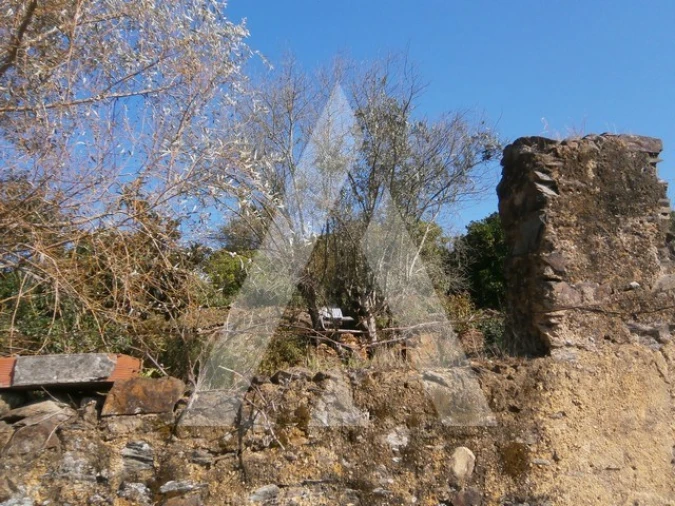 Terreno para Venda em Macinhata do Vouga Foto 6