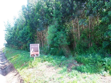 Terreno para Venda em Cacia