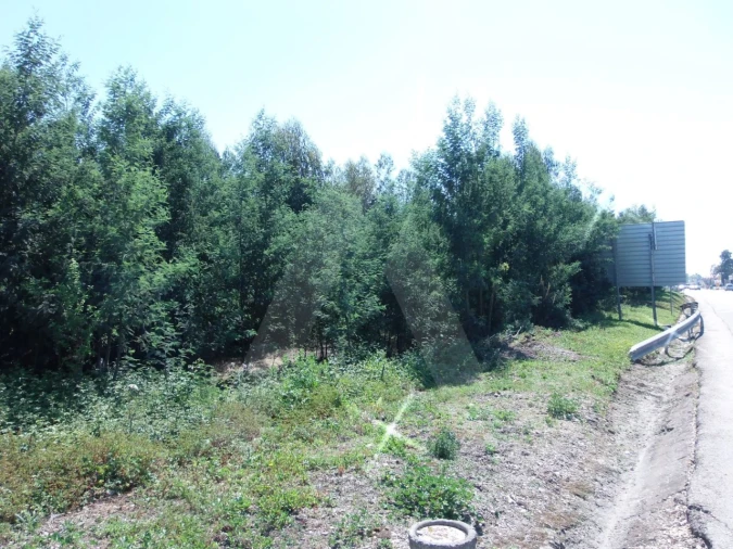 Terreno para Venda em Cacia Foto 3