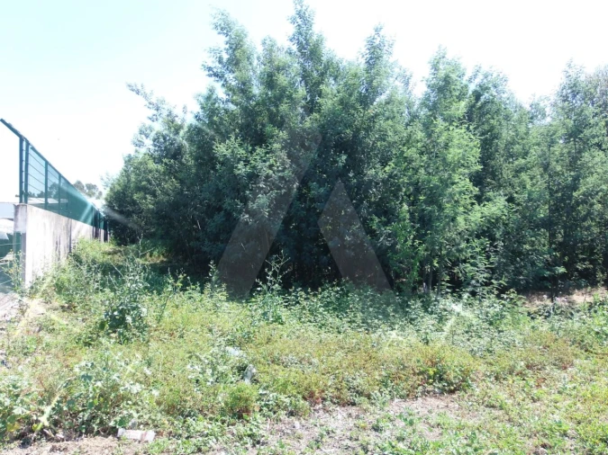 Terreno para Venda em Cacia Foto 4