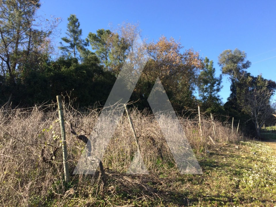 Terreno para Venda em São Lourenço do Bairro Foto 6