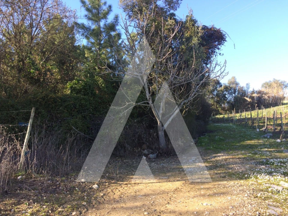 Terreno para Venda em São Lourenço do Bairro Foto 7