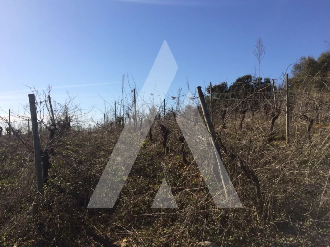 Terreno para Venda em São Lourenço do Bairro Foto 9
