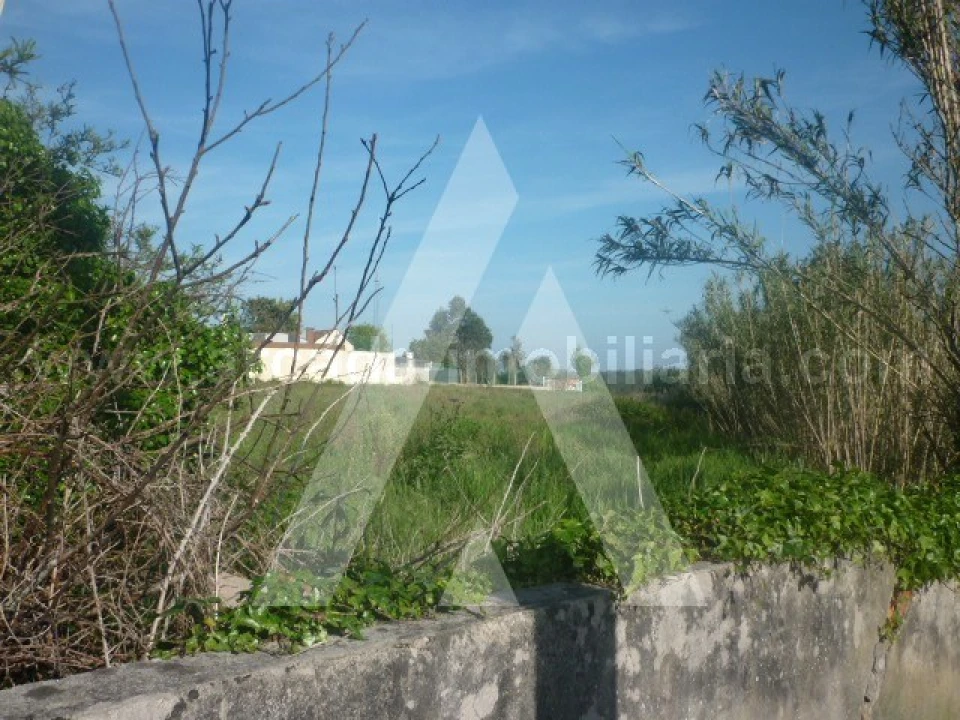 Terreno para Venda em Requeixo, Nossa Senhora de Fátima e Nariz Foto 1