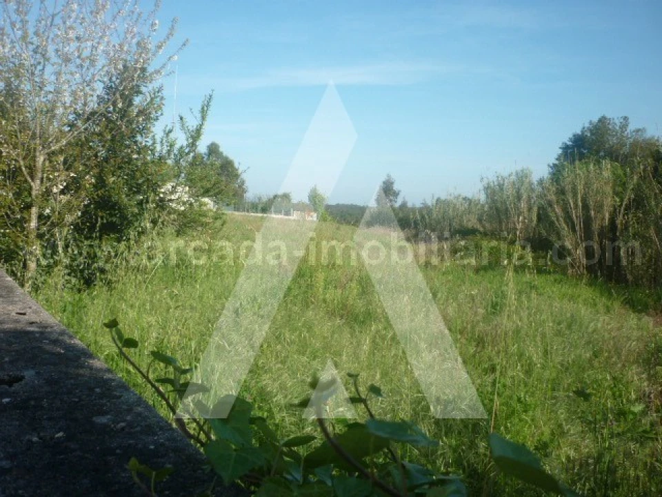 Terreno para Venda em Requeixo, Nossa Senhora de Fátima e Nariz Foto 3