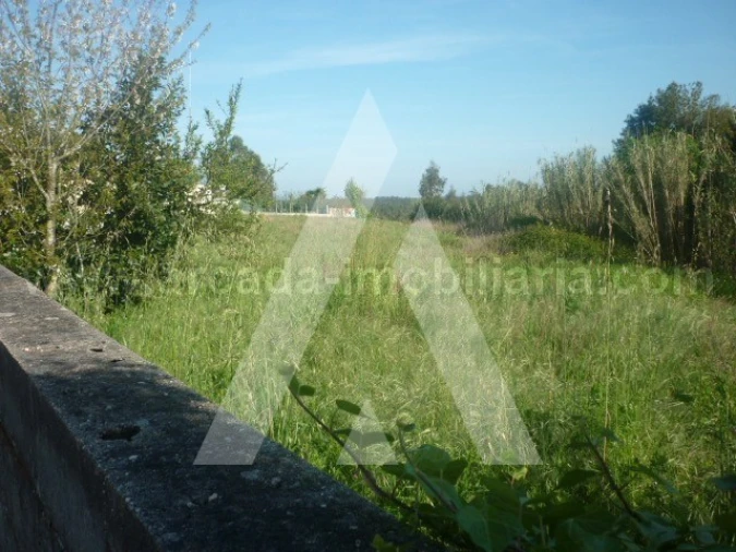 Terreno para Venda em Requeixo, Nossa Senhora de Fátima e Nariz Foto 2