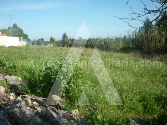 Terreno para Venda em Requeixo, Nossa Senhora de Fátima e Nariz Foto 4