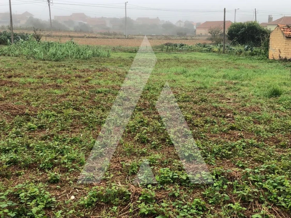 Terreno para Venda em Amoreira da Gândara, Paredes do Bairro e Ancas Foto 1