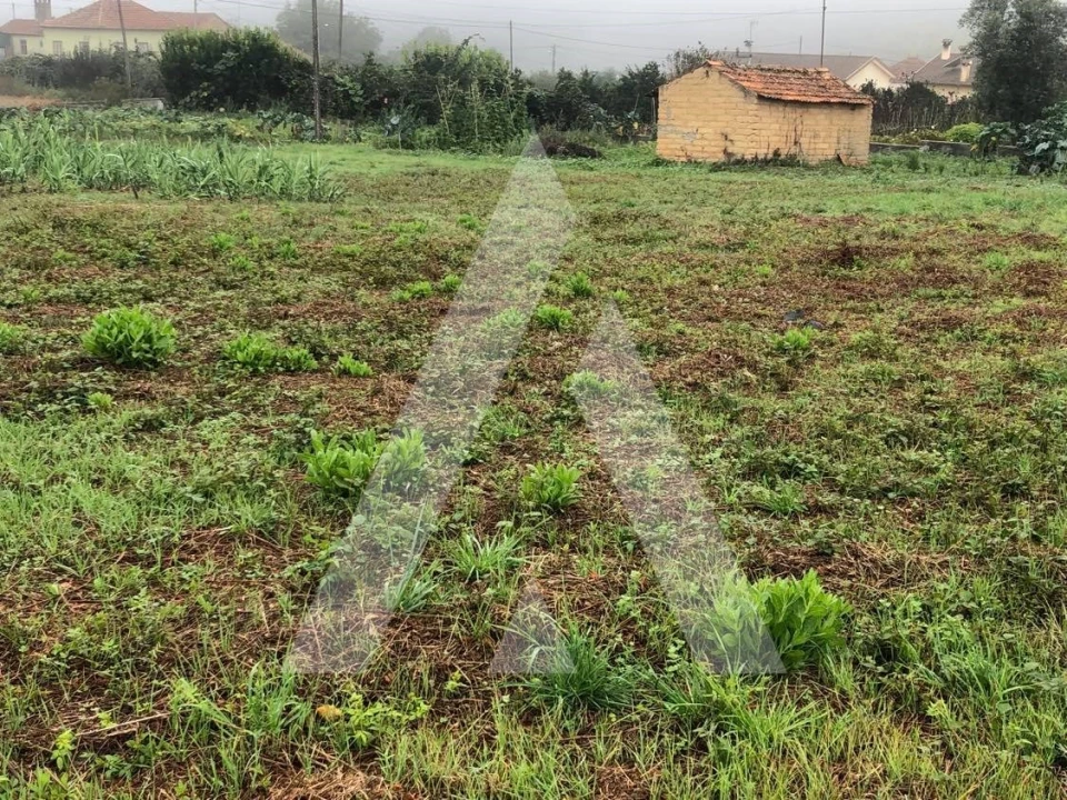 Terreno para Venda em Amoreira da Gândara, Paredes do Bairro e Ancas Foto 2