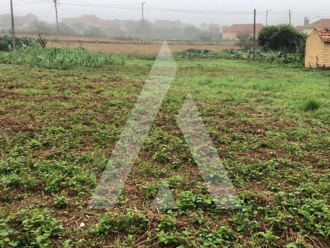 Terreno para Venda em Amoreira da Gândara, Paredes do Bairro e Ancas Foto 1