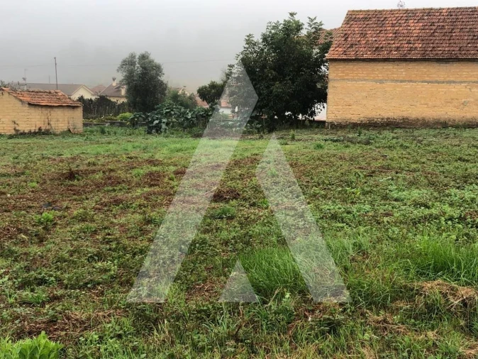 Terreno para Venda em Amoreira da Gândara, Paredes do Bairro e Ancas Foto 3