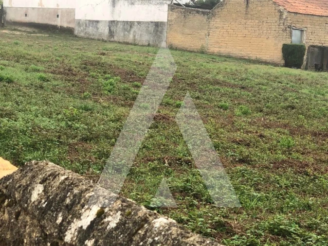 Terreno para Venda em Amoreira da Gândara, Paredes do Bairro e Ancas Foto 4
