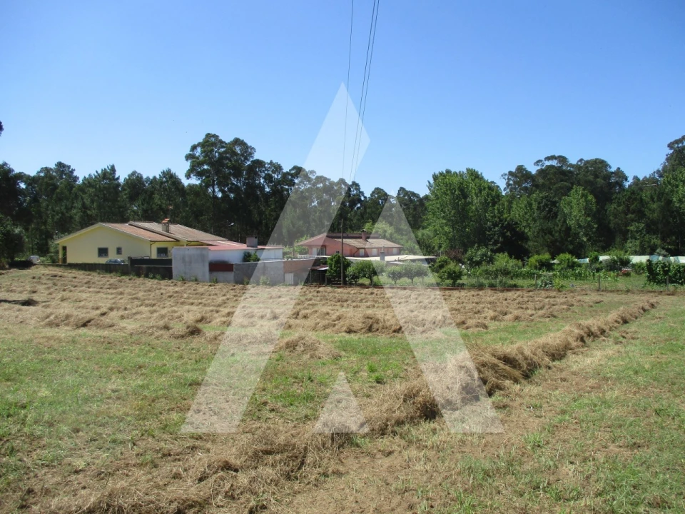 Terreno para Venda em Oiã Foto 2
