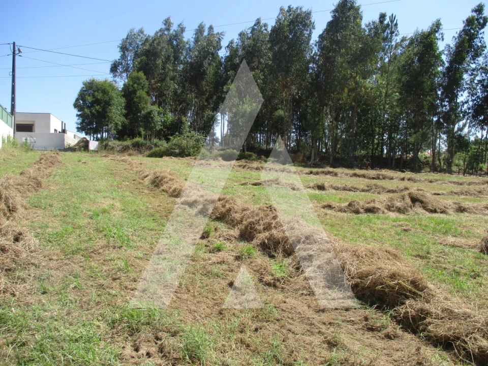 Terreno para Venda em Oiã Foto 6