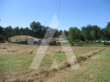 Terreno para Venda em Oiã