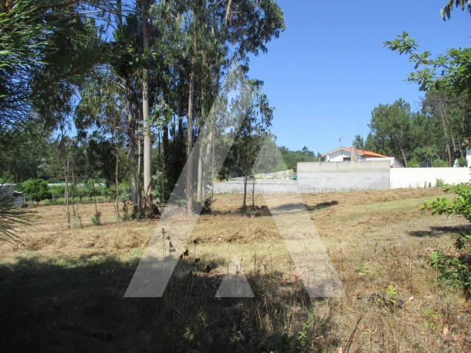 Terreno para Venda em Oiã Foto 3