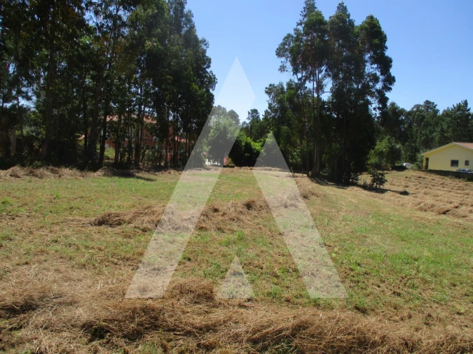 Terreno para Venda em Oiã Foto 4