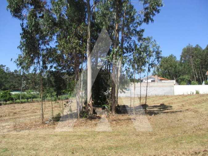 Terreno para Venda em Oiã Foto 5